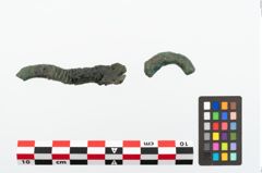 Foto von Bronzearmreif (NHMW-PRAE-023652)